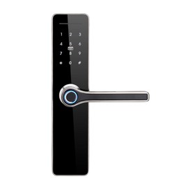 HAIFUAN 5800 Digital Door Lock, Made of Stainless Steel 304, Unlock with Fingerprint, Code, Card,Key, V2.0 (HFA5800-R)