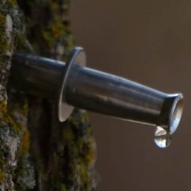 Stainless Steel Taps - Maple Sap Bag/Bucket Spiles for Making Maple Syrup