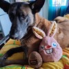 WufWuf Easter Choco Ball Plush Dog Toy – Soft, Durable,