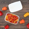 Willmax EMBALANCE Storage Container, Rectangular Container, M (20.3 fl oz