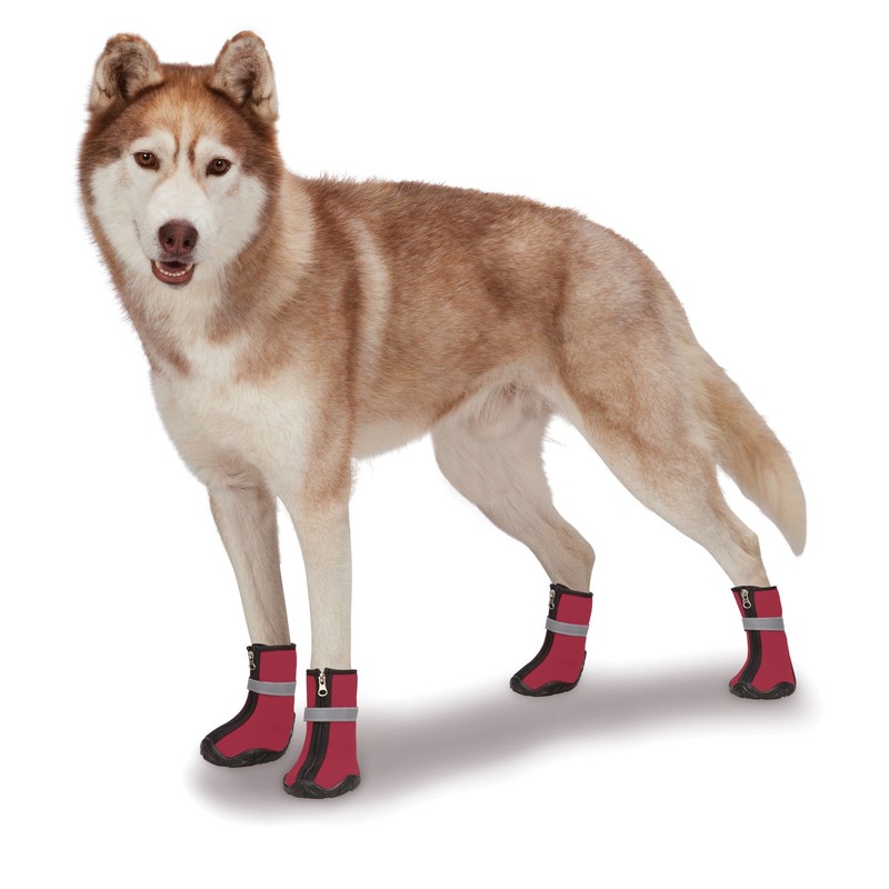 Zack & Zoey ThermaPet Neoprene Boots, Blue, Medium