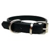 Vibrant Leather Dog Collar for Puppy, Cat, Kitten, Dogs -