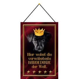 Blechschild Blechemma with cord 30 x 20 cm "Hier wohnt die spoilste Hundedame der Welt" [German Language]