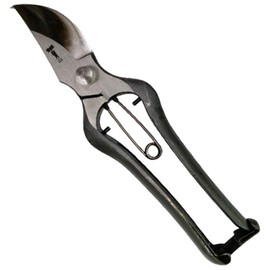 Shingetsuyama Hitting Pruning Shears (Gold Clasp Type), 9 x 9.1 inches (230 mm)