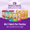 Wellness Healthy Indulgence Shreds Adult Wet Cat Food, Natural, Protein-Rich,