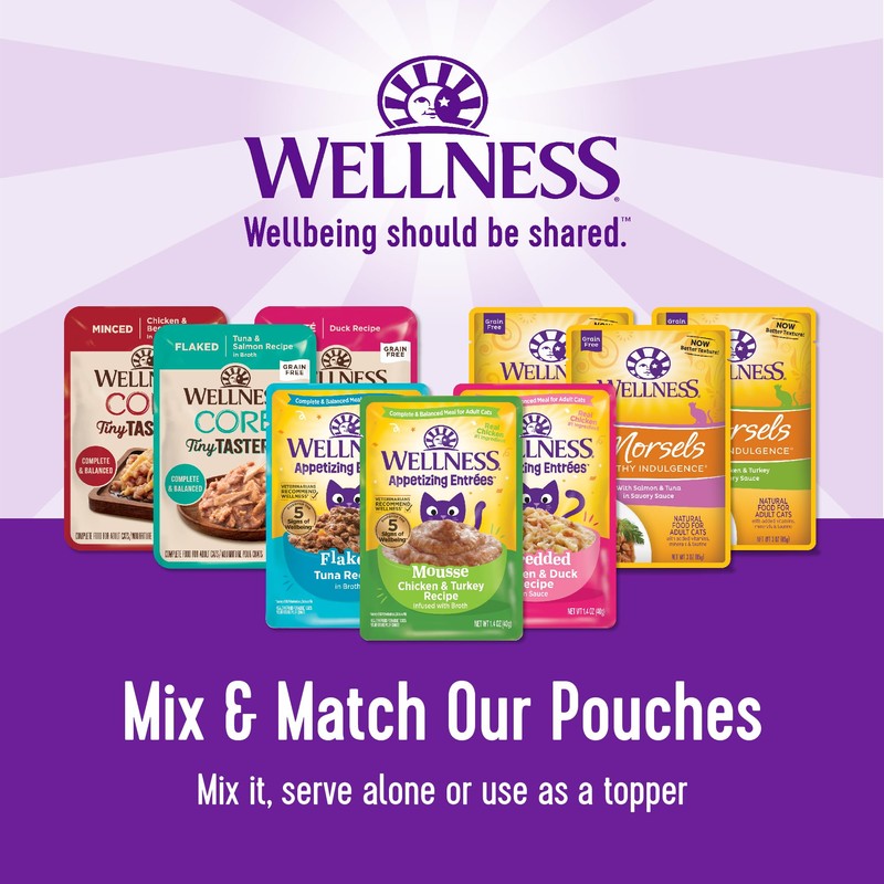 Wellness Healthy Indulgence Shreds Adult Wet Cat Food, Natural, Protein-Rich,