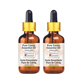 Greenwood Essential Pure Catnip Essential Oil (Nepeta cataria) with Glass Dropper Steam Distilled (Pack of Two) 100ml X 2 (6.76 oz)
