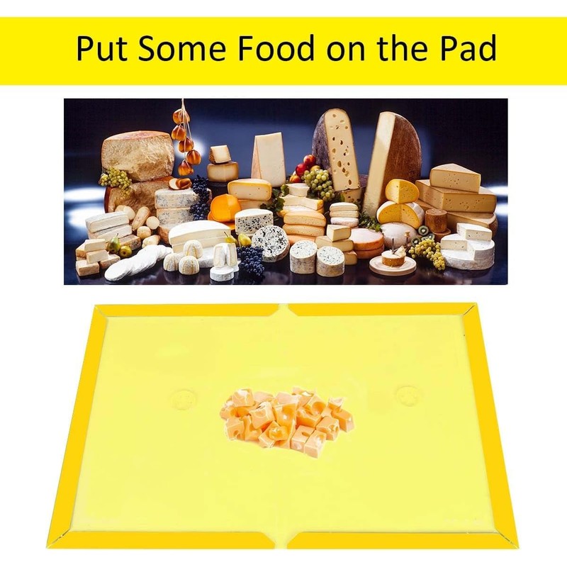 Loocaa 10 Pack Sticky Traps Boards - Multi-Use Pests Sticky