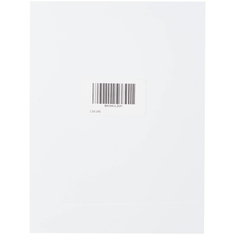 Caledonia Signs 13614E No Diving Sign, 200 mm x 150