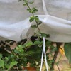 Plant Freeze Protection Cover Thickened Warm Breathable Reusable Plant Winter