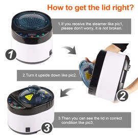 ZONEMEL Sauna Steamer, 4 L Large Capacity Portable Steam Generator with Remote Control, Stainless Steel Pot, Spa Machine with Timer Display for Body Detox