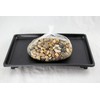 1 Rectangular Black Plastic Humidity/Drip Tray for Bonsai Tree and