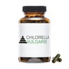 YPSI Chlorella Vulgaris - Micro Algae Capsules with Folic Acid