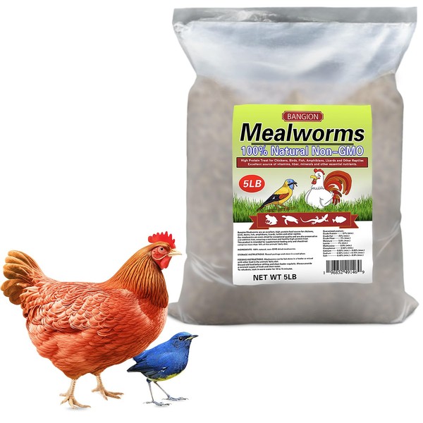 Organic Non-GMO 5 lbs Dried Mealworms for Chickens Bluebirds Wild
