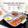 RANX INGST 10 Inch Grill Pan with Lid, 3 Section