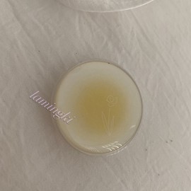 [LAMINGKI] Mingkidot Yellow Grip Tok Phone Holder