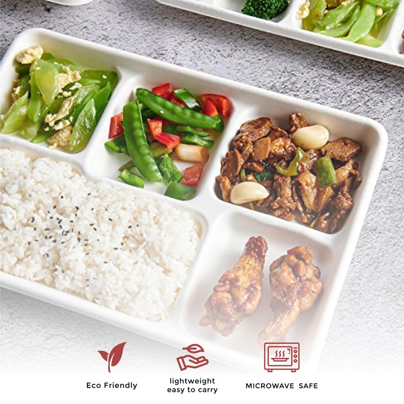 Chef Royale 10x Disposable Bagasse Sugarcane Plates, 5CP Large White