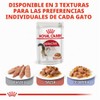 Royal Canin - Bolsa húmeda instantánea para adultos, 12 x
