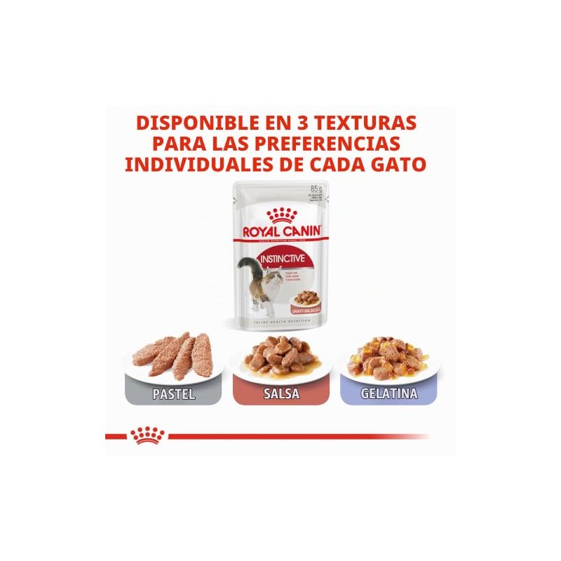 Royal Canin - Bolsa húmeda instantánea para adultos, 12 x