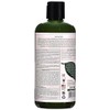 Petal Fresh Shampoo, Tea Tree, 16 Ounce