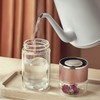 Tea Infuser Bottle 420ml Double Layer Stainless Steel Leakage Proof