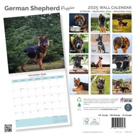 Baker and Bray German Shepherd Puppies Calendar 2025, Large Square Wall Calendar, 16 Month, German Shepherd Puppies Gift Dog Calendar.