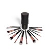 DS BEAUTY 14 Piece Professional Make Up Brushes Set -