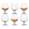Srgeilzati Snifters 8.8 oz Shot Glasses Set of 6 Cute