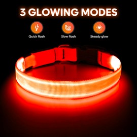 Illumifun Light Up Collar for Dogs, USB Rechargeable LED Dog Collar, Adjustable Safety Collar Light for Walking at Night (Orange, Large)