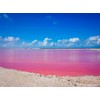 1 Kg. Lodo Maya Del Caribe. Arcilla Exfoliante De Chicxulub