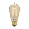 Satco S2413 40 Watt 135 Lumens ST19 Incandescent Medium Base