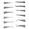 12 Pcs Dental Extraction Elevators Straight Curved Cogswell Cryer Spear