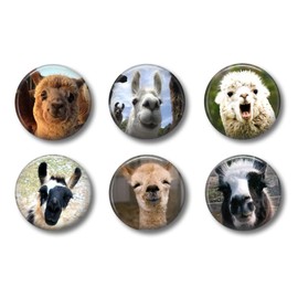 Cute Locker Magnets For Teens - Funny Llamas Alpacas - Fun School Supplies - Whiteboard Office or Fridge - Gift Set