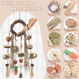 Bissap Bunny Chew Toy, Rabbits Cage Hanging Chew Toys and Treats Rattan Ring with Snacks Water Grass Wooden Block Carrot for Guinea Pigs Chinchillas Hamsters Rats and Other Small Pets Teeth Grinding