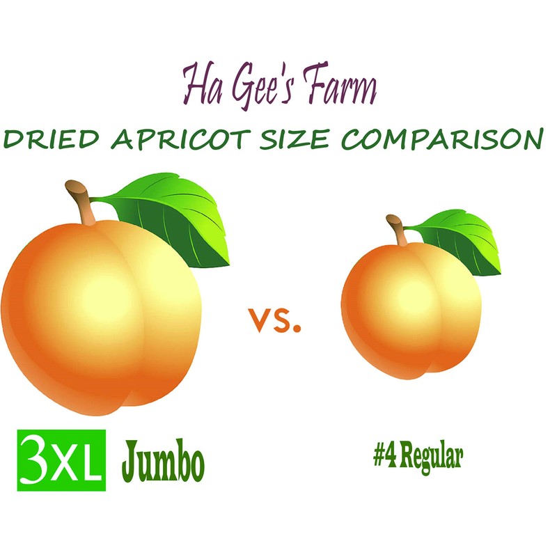 Turkish Dried Apricot, Gourmet Fresh Jumbo Size #1, Reseable Bags(1LB)