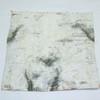 Wilson Birch Bark (12" x 12" 2 Pack)
