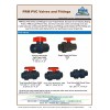 ERA New Sch 80 PVC 1 Inch True Union Ball