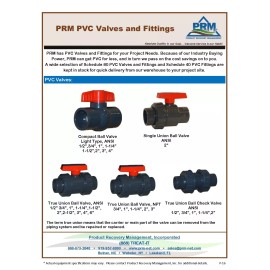 ERA New Sch 80 PVC 1 Inch True Union Ball Check Valve Socket New Sch 80 PVC