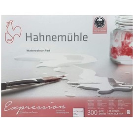 Hahnemühle Expression Watercolour Pad, 20 Sheets, 300 g, 24 x 30 cm, 100% Cotton, Mühle du Coq Made in Germany