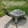 Turtle Butterfly Garden Statue Resin Fade Proof Weather Resistant Curious