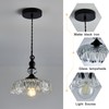 CVKASH Vintage Glass Pendant Light Fixture Black Modern Adjustable Chandelier
