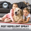ANEWNICE Pest Control Spray, Mouse Repellent, Peppermint Spray for Mice