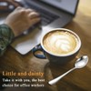 Evanda Tea Spoon, 24 x 14 cm, Stainless Steel Coffee