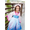 Little Adventures Cherry Blossom Princess Dress Up Costume (Small Age