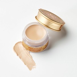 Skinfood Salmon Concealer Kapatıcı Krem (01) 10G