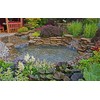 HALF OFF PONDS LumiNight Pond and Landscape Lighting - RGB