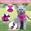 Cat Harness and Lead Set, Adjustable Kitten Harness and Lead