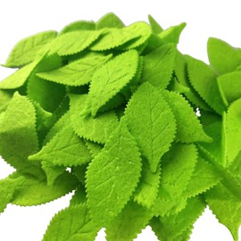 MTCELL - 100 piezas de tela de fieltro artificial, decoración de hojas artificiales para proyectos de costura, decoración de ropa