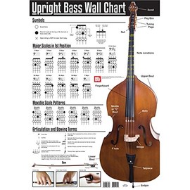 Poster UPRIGHT BASS WALL CHART For Double Bass