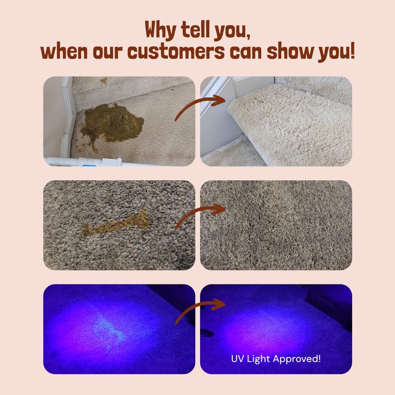Sunny & Honey Pet Stain & Odor Miracle - Enzyme